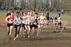 Senior men, 2020 British Athletics Inter Counties Cross Country Champs., Prestwold Hall, Loughborough. Photo: David T. Hewitson/Sports for All Pics